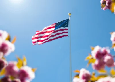 American Flag Through Canopy